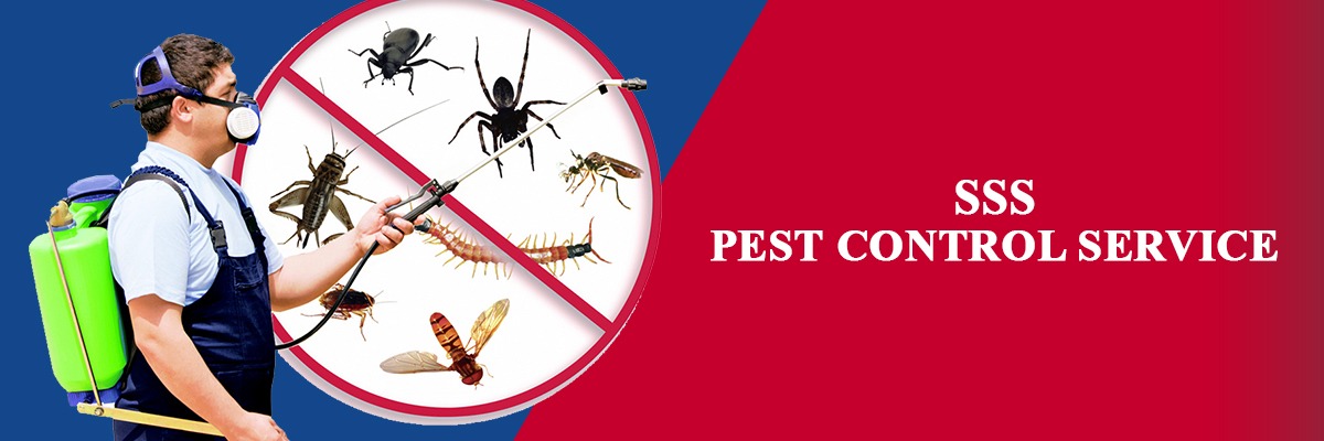 SSS Pest Control 